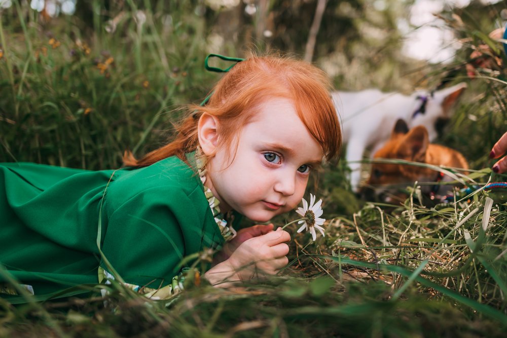 Фотография автора Дарья Шевченко