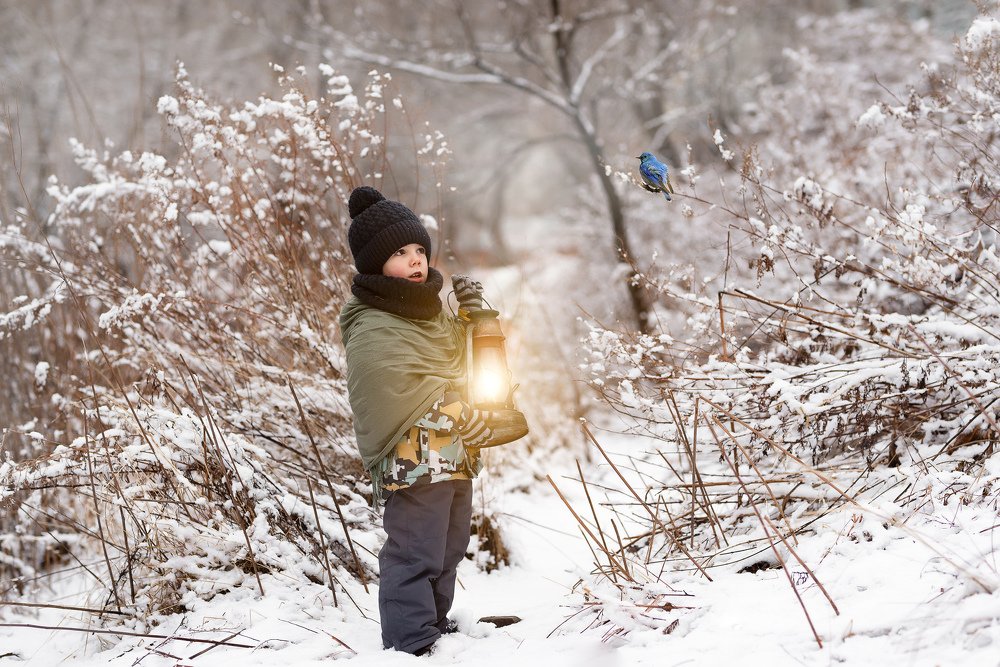 Чудо в зимнем лесу