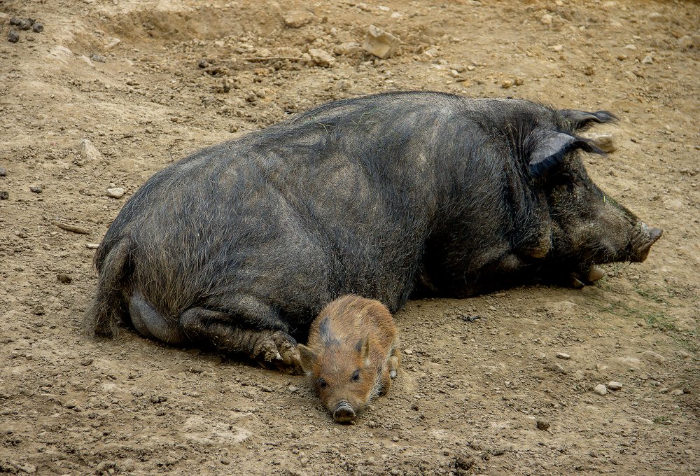 відпочинок