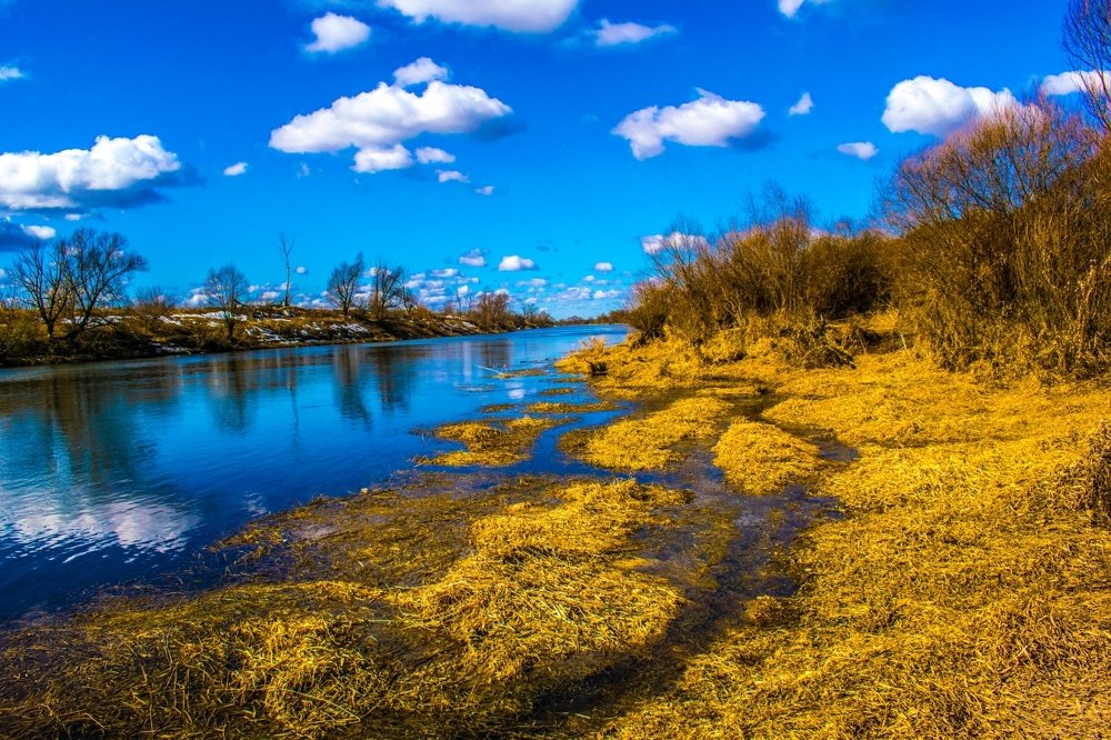 Весной на берегу