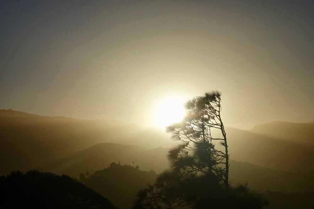 Bronzed hills (Бронзовые холмы)