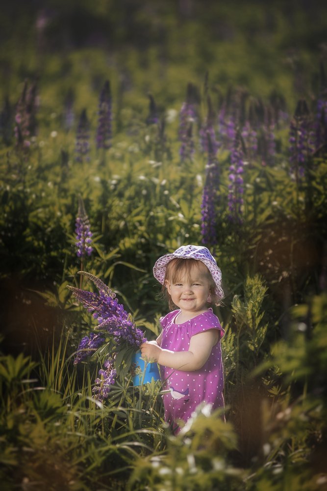 Солнечная Амелия и её первые люпины