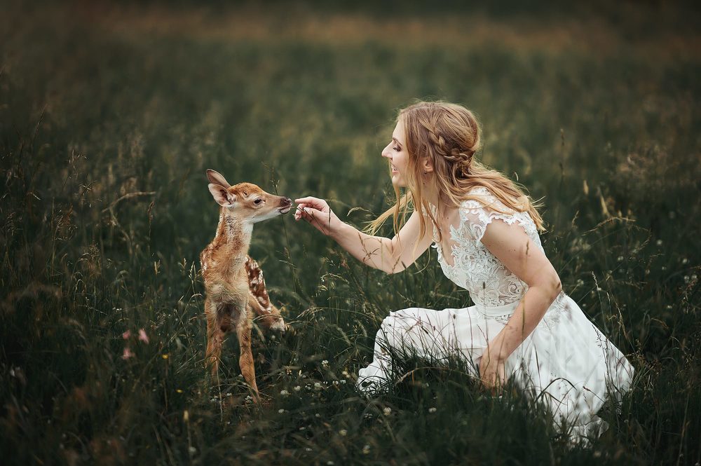 Bride and little roe deer