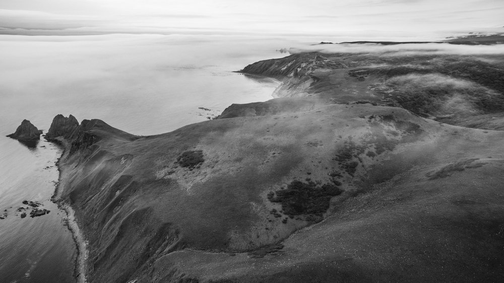 Птичий взор