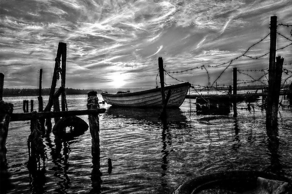 Black and white landscape