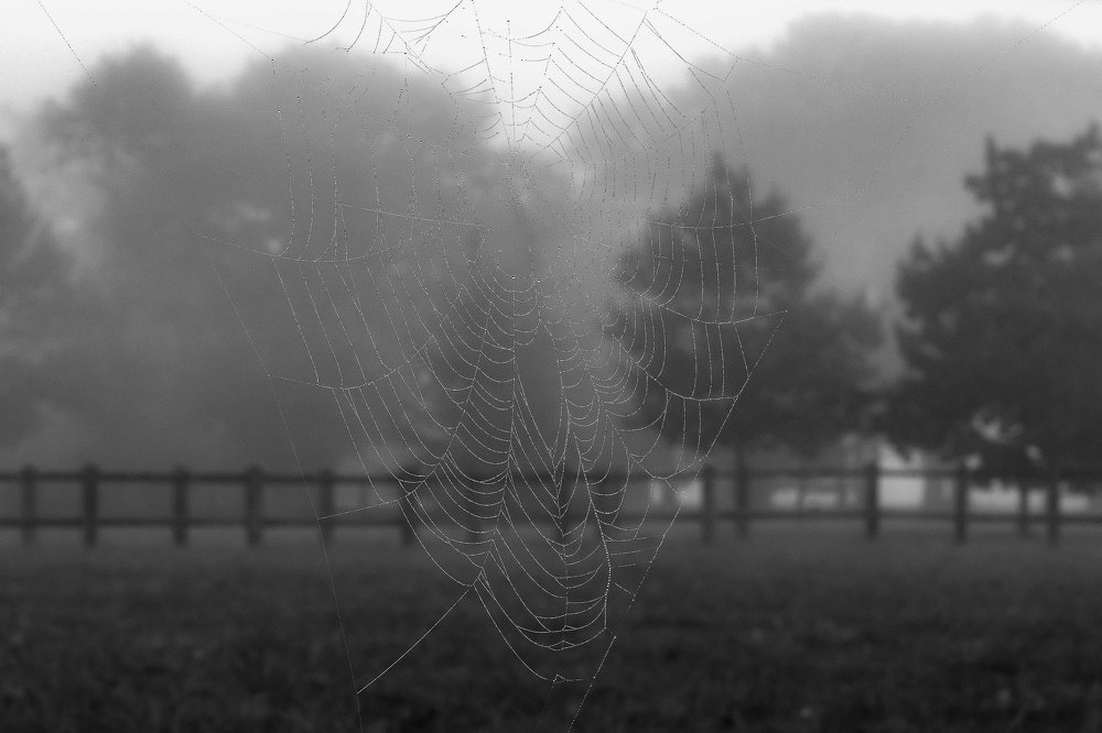 Photograph by Демьян Лопатов