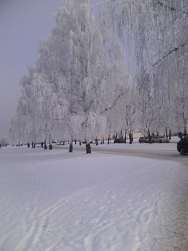 Красавица зима.