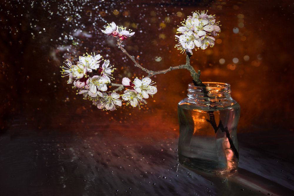 Абрикосовые брызги