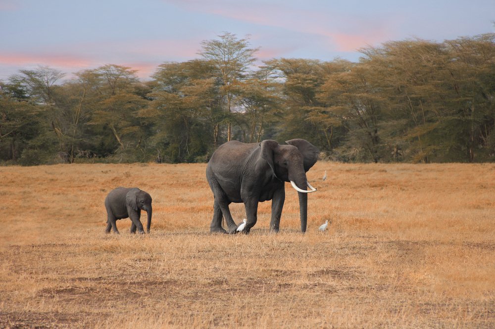Веселая компания