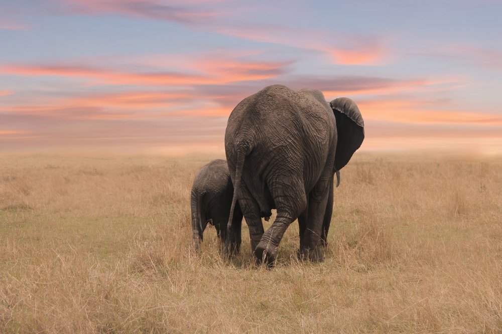 В закат Танзании