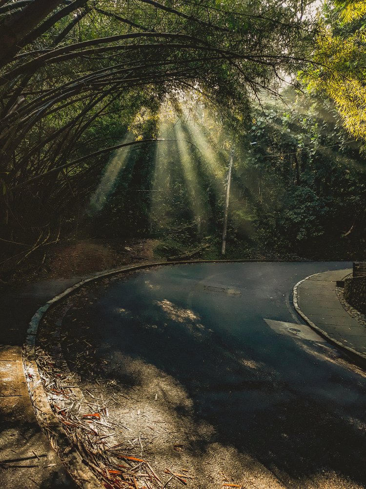 Sun ray in the dawn.