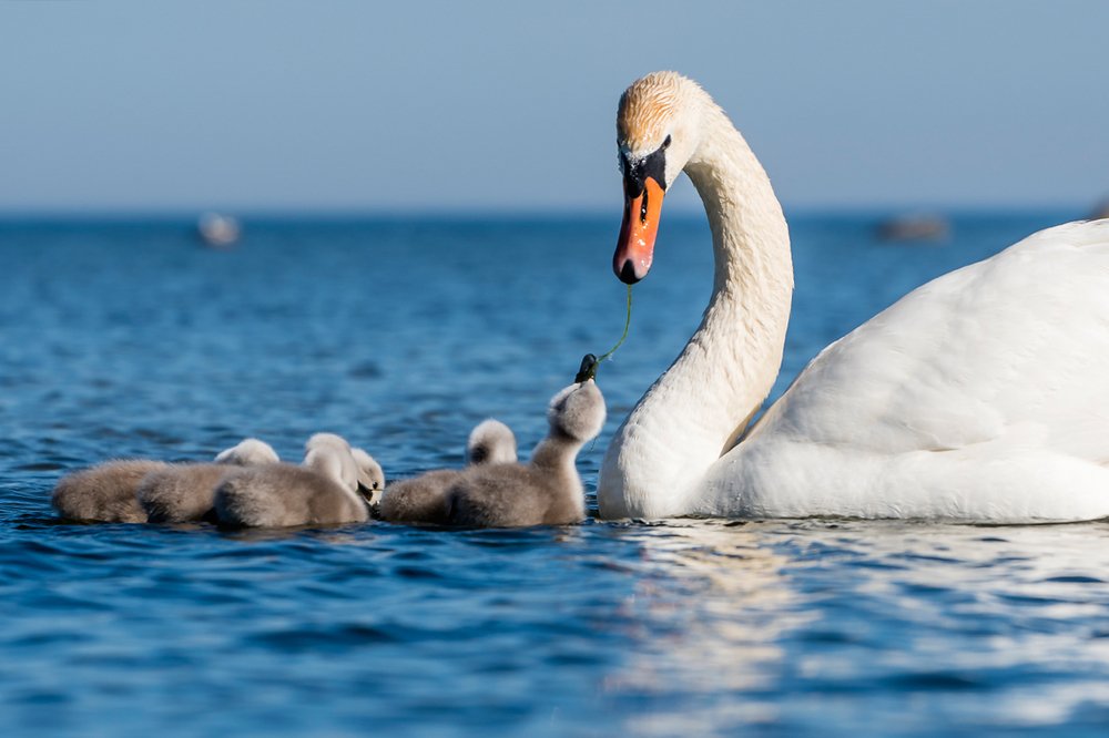 Photograph by Александр Абросимов