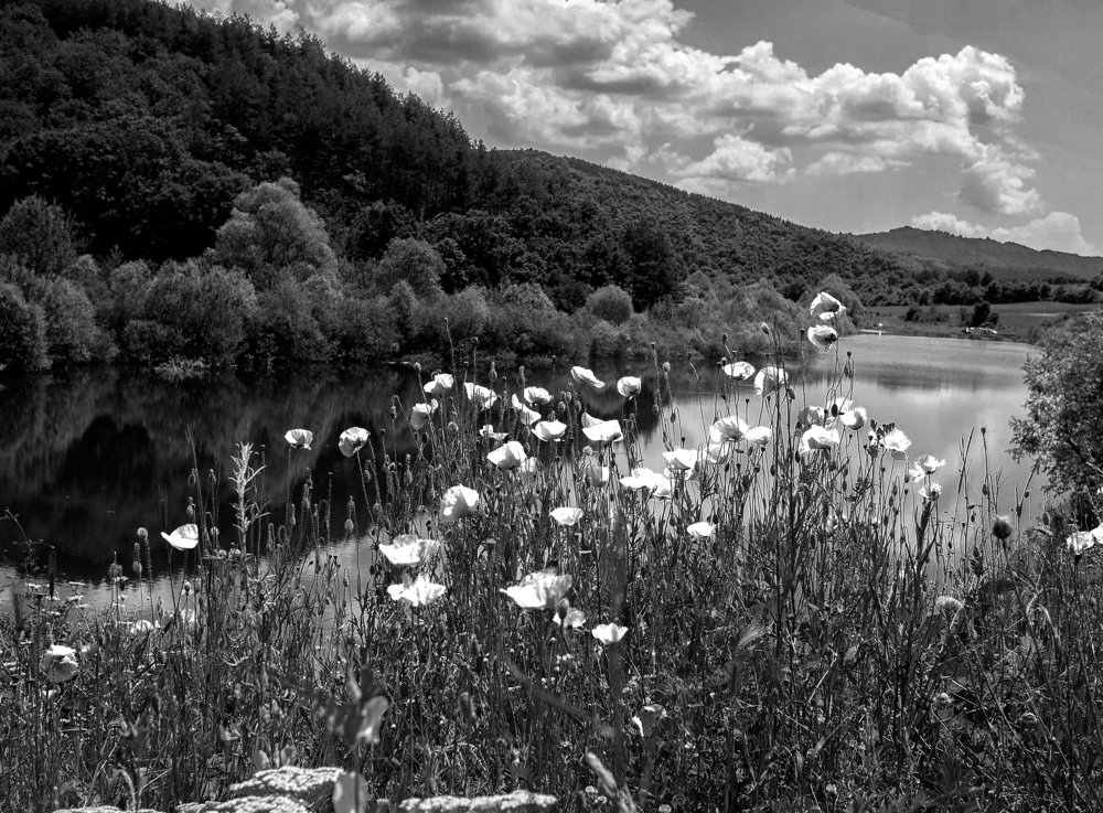 Photograph by Estislav Ploshtakov