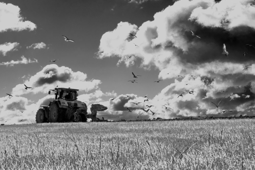 Photograph by анна шацкая