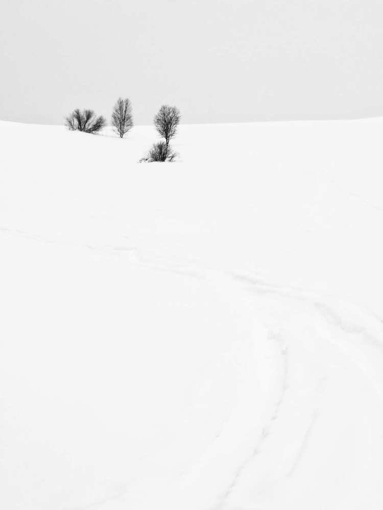 Снежный минимализм