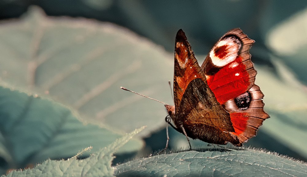 Photograph by Cuneyt