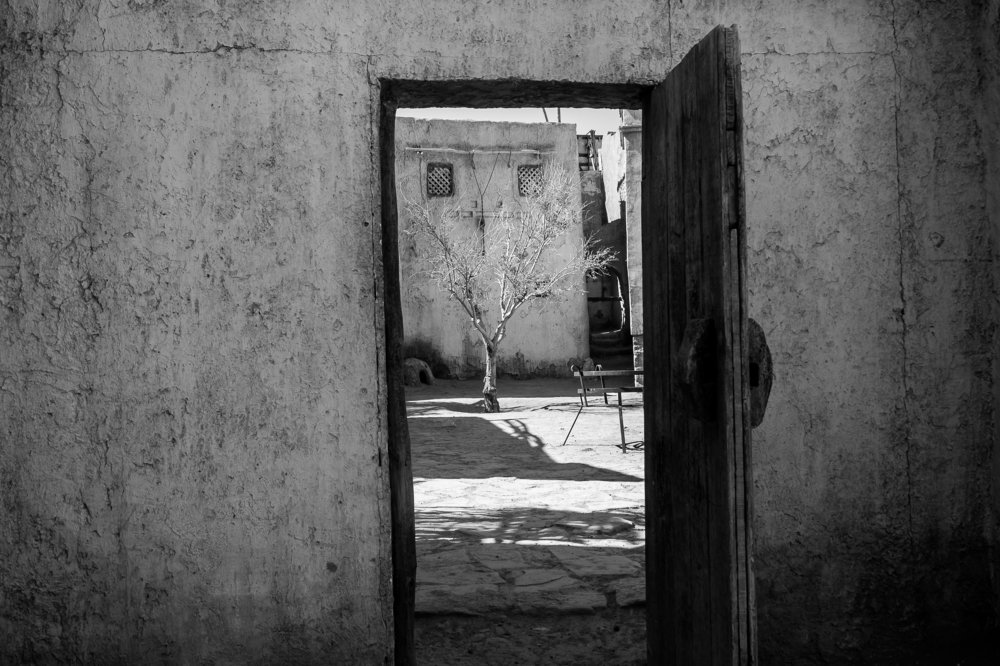 Photograph by Алёна Останкова