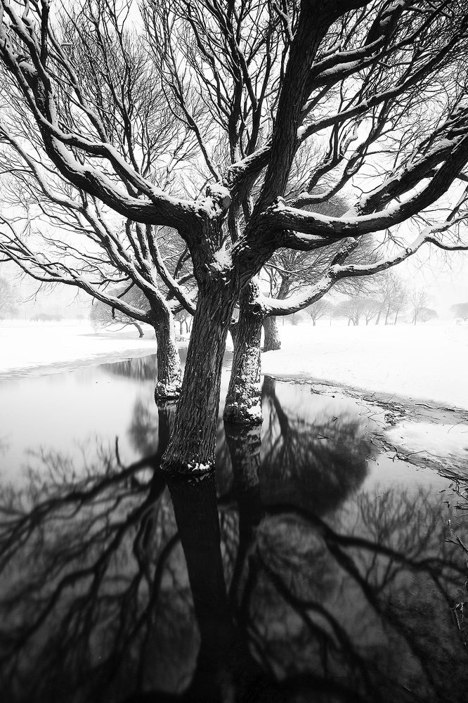 Фотография автора Василий Рябовол