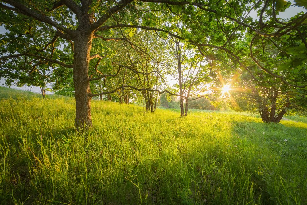 Майский вечер