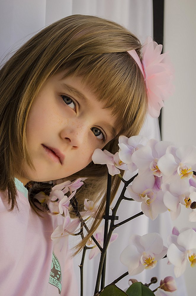 Утренний свет