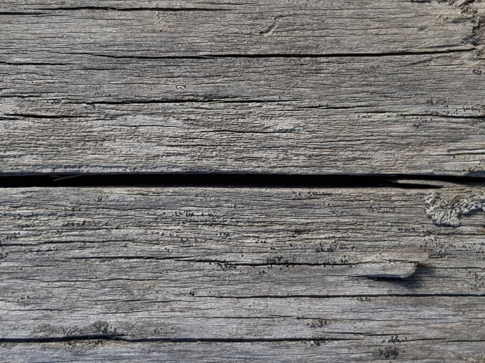 Photograph by Сергей Цыганков