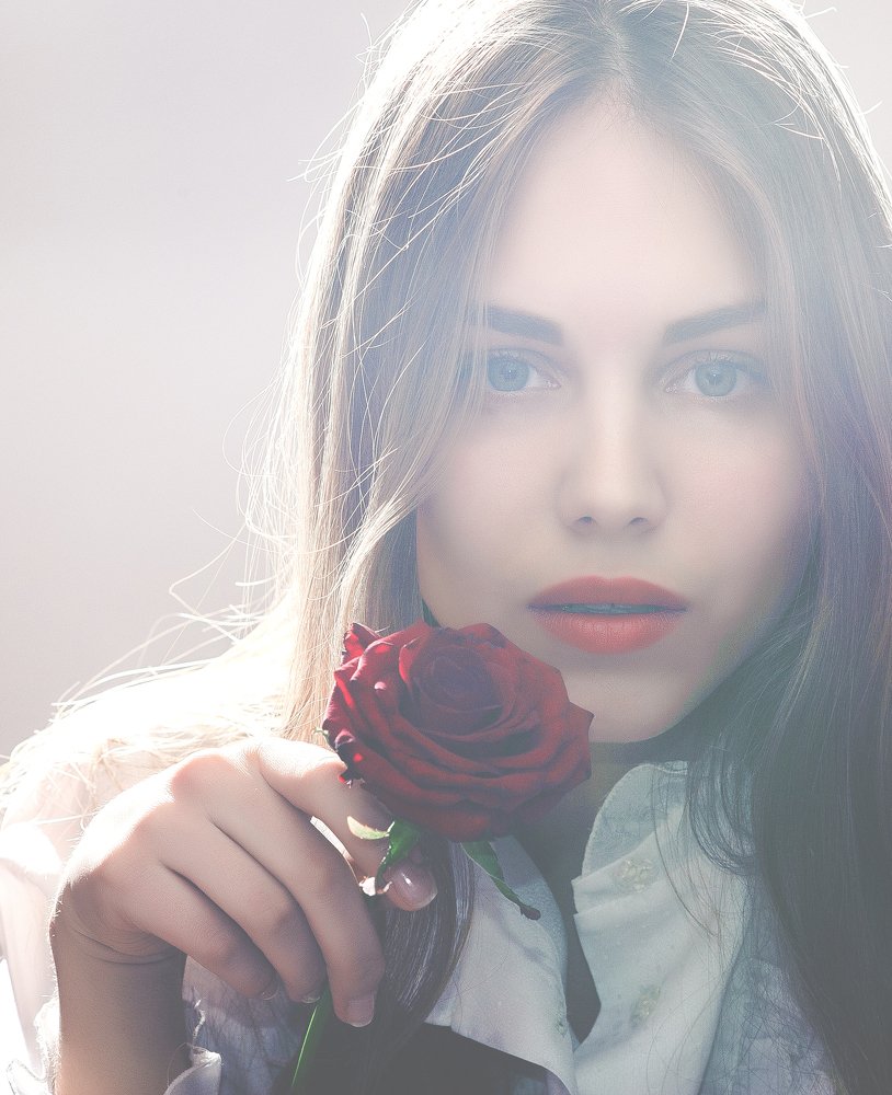 Страсть розы