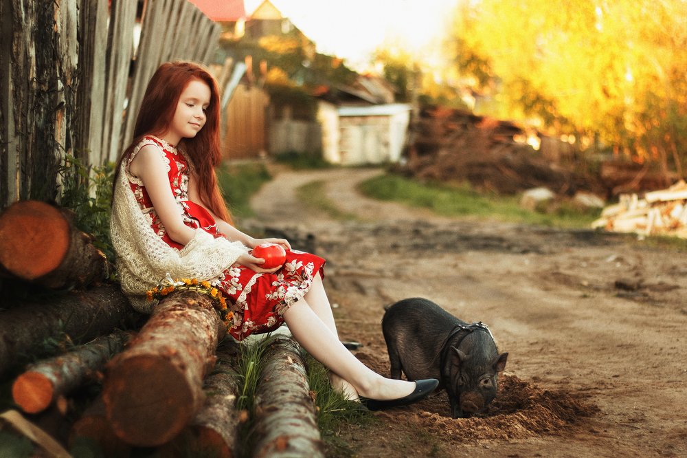 Photograph by марина