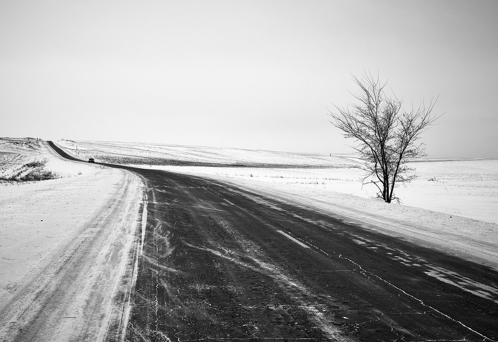 Один, и еще раз один