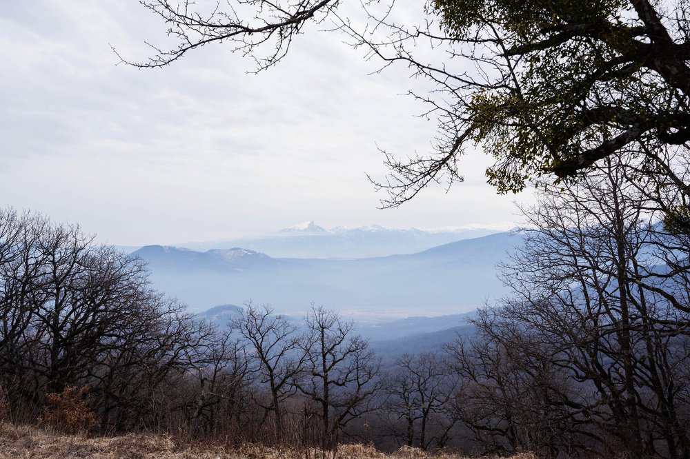 Photograph by марина