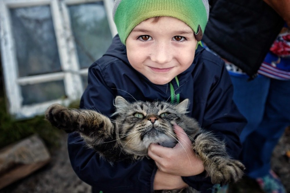 Boy and Cat