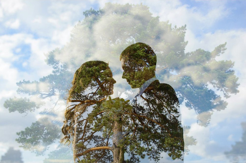 Photograph by Александр Денисов