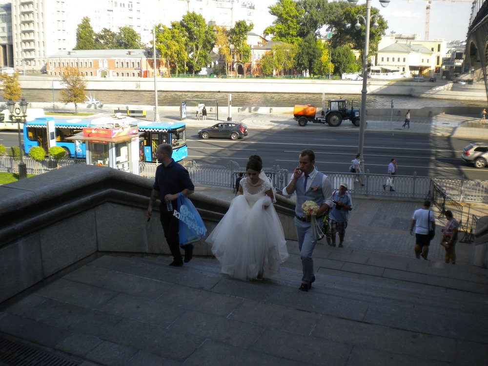 Photo #3147618