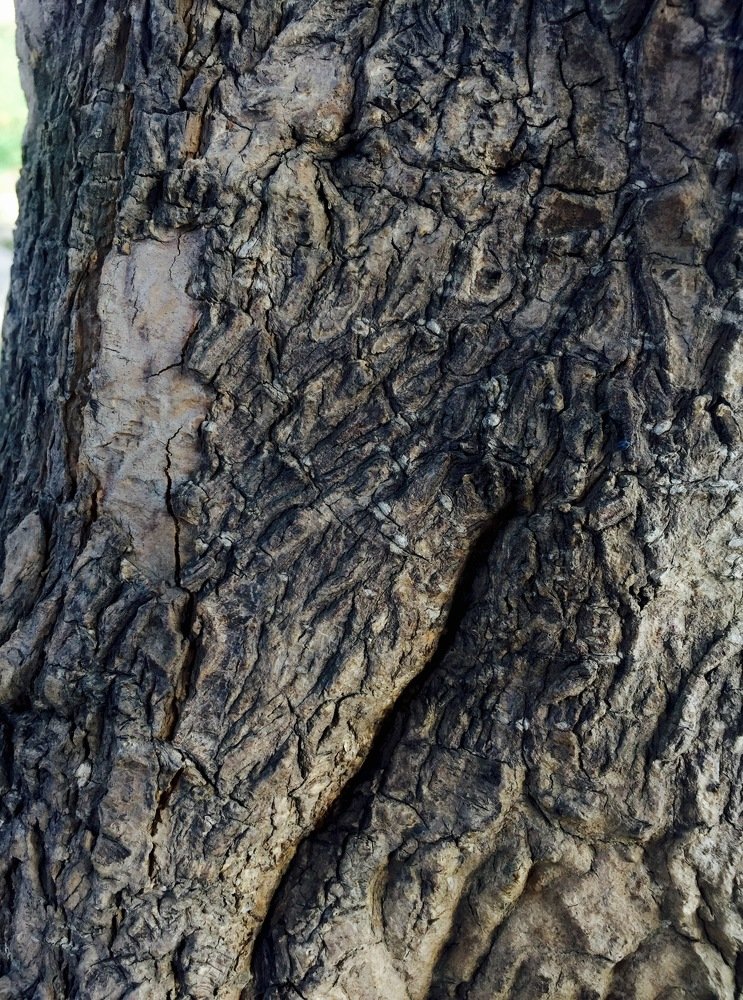 Texture