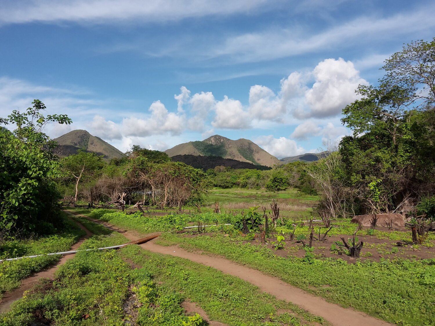 Peaceful Mountains