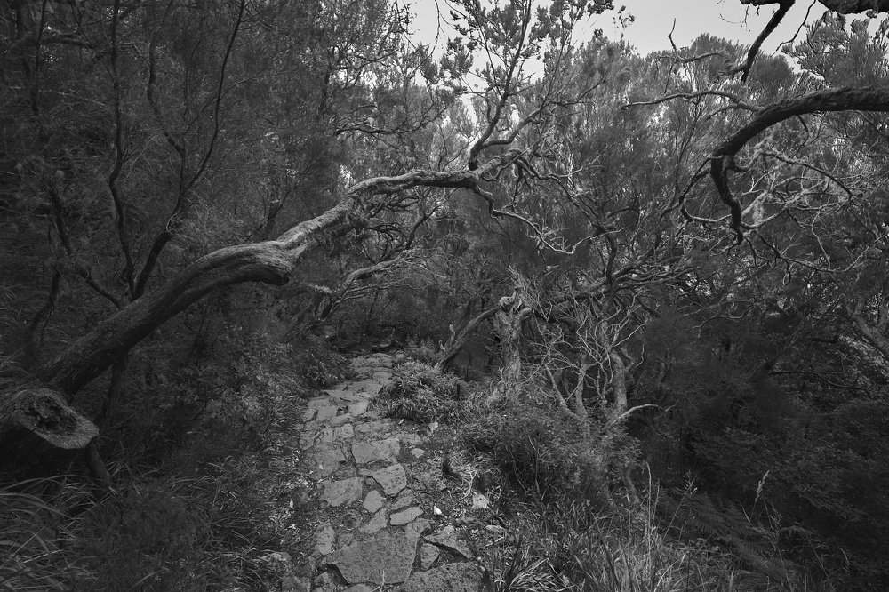 Дорога в магию