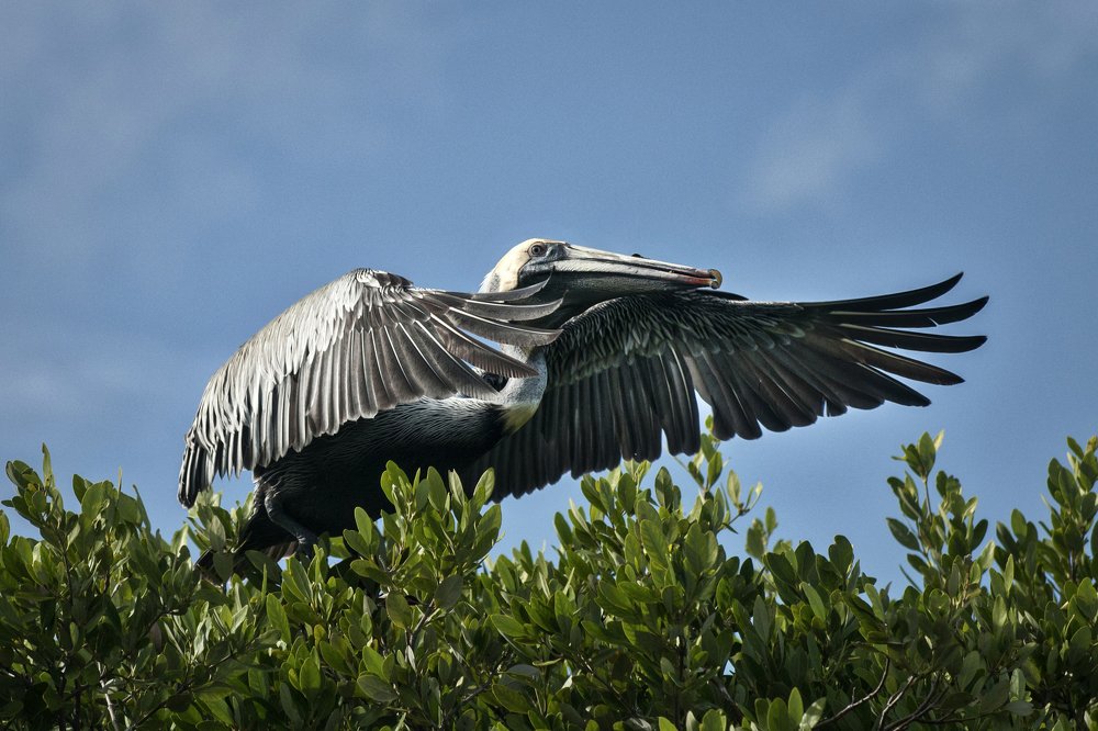 In all his greatness