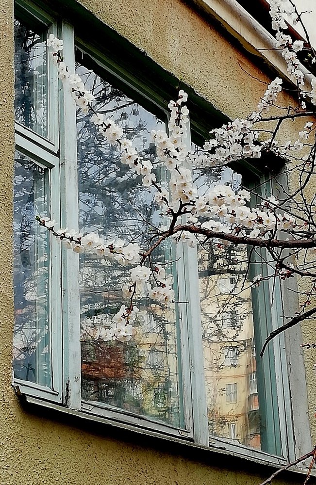 Когда весна стучит в окно