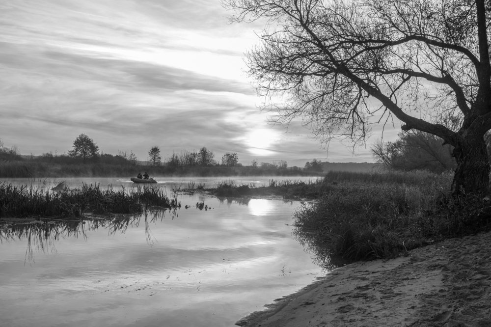 Туманное утро на речке..