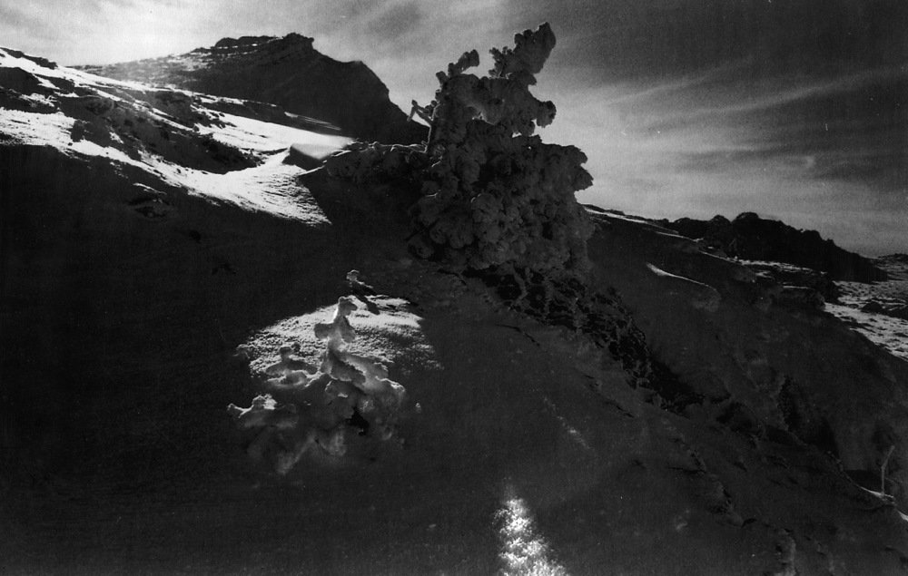 Морозное утро