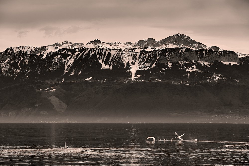 Живое и вечное