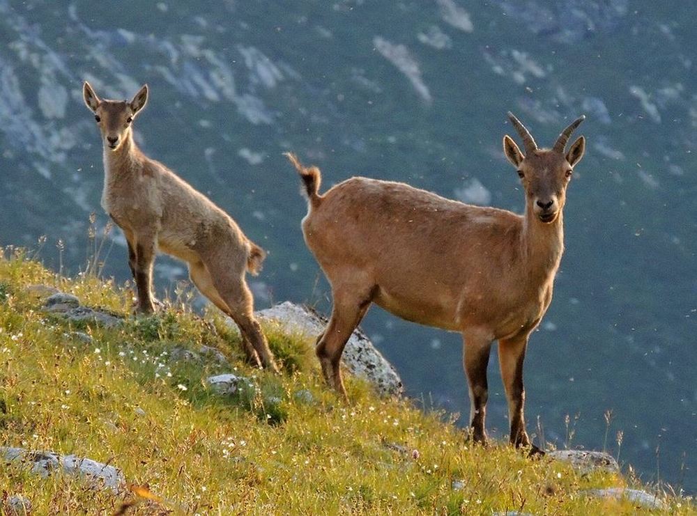 В горах Кавказа