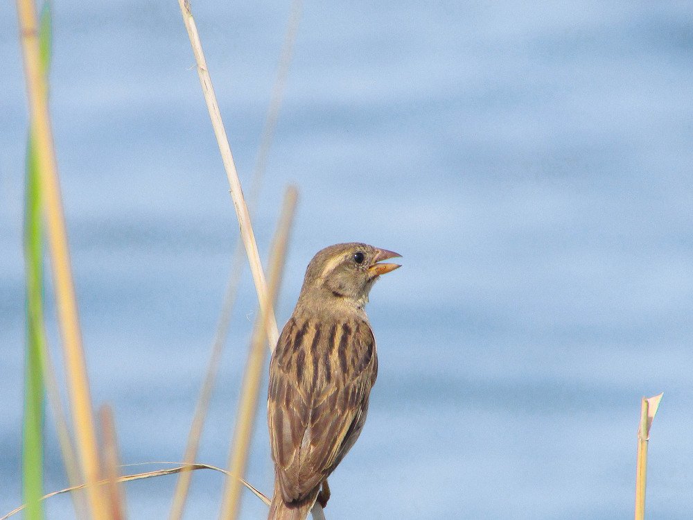 Photograph by Никита Волков