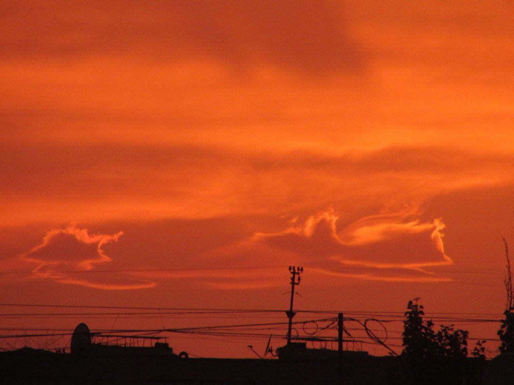 Photograph by Никита Волков