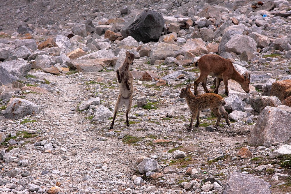 Детские игры