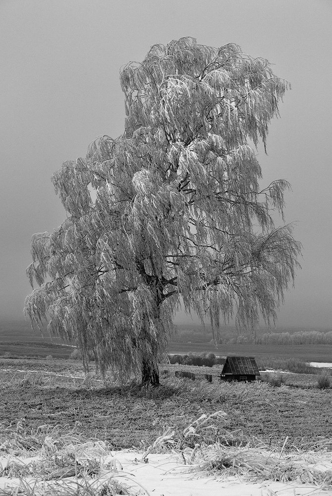 Старые соседи