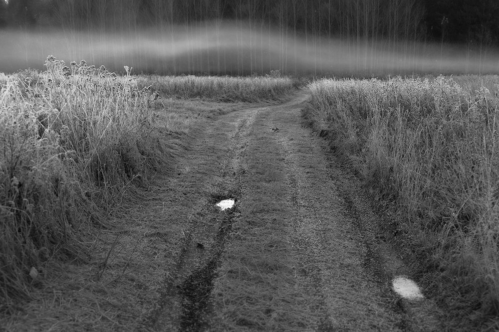 Врата в царство тумана