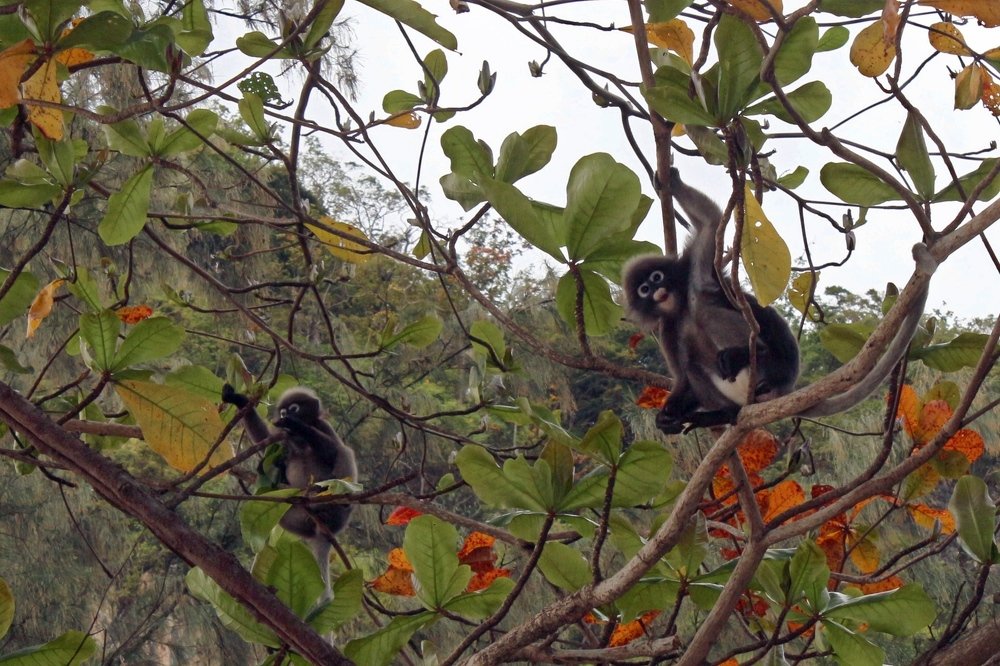 Photograph by Виталий