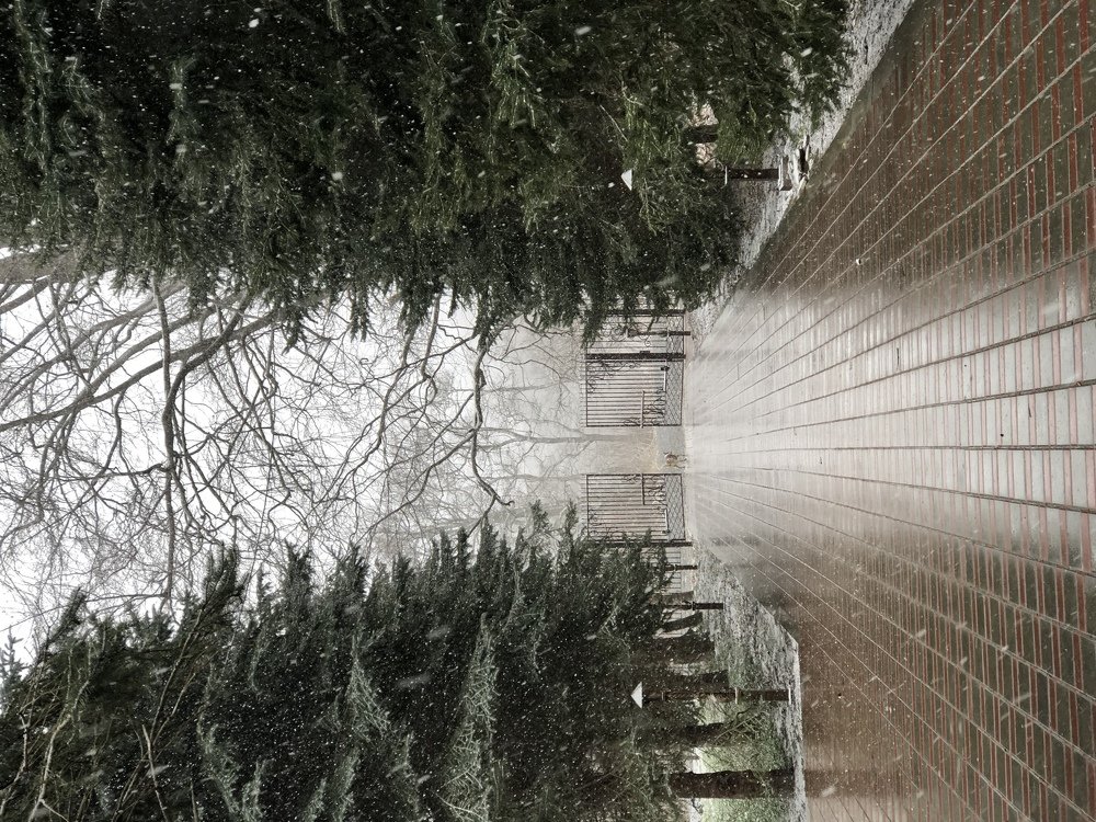 Одинокая зима