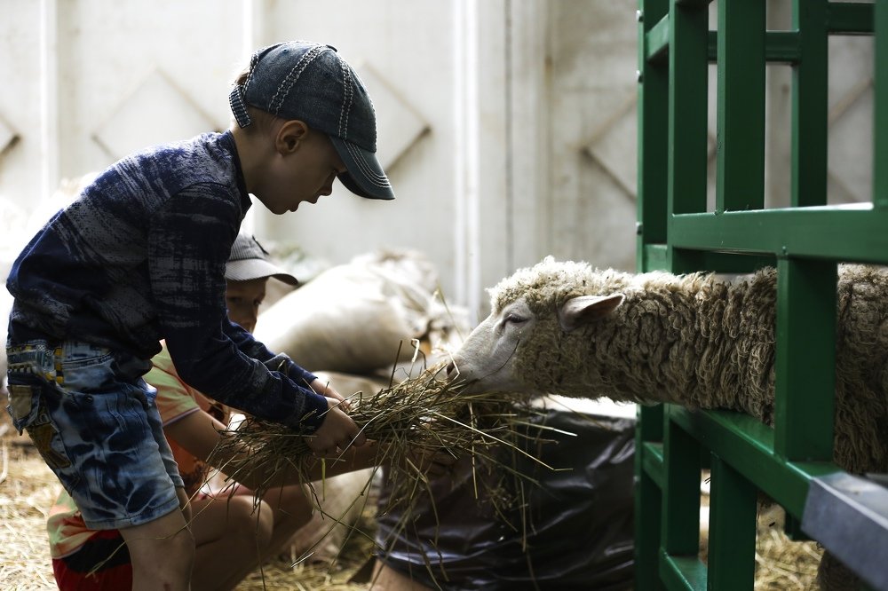 Фотография автора Светлана Дубина