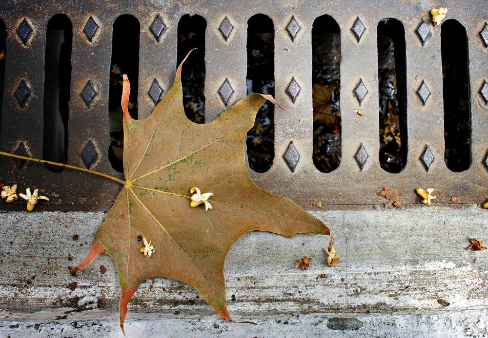 Photograph by Irina Radzinskaya